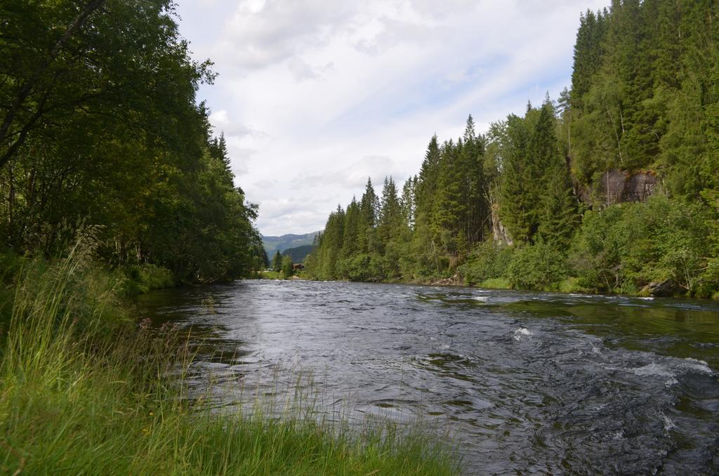 Campingplatz Doskelandslia Sygna